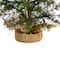 3ft. Pre-Lit Artificial Christmas Tree in Burlap Base, Clear LED Lights